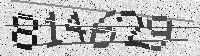 Security code image