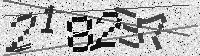 Security code image