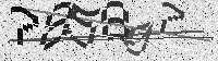 Security code image