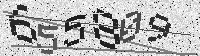 Security code image