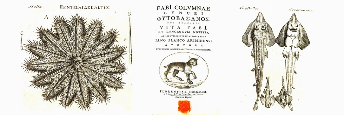 Libri Antichi e Libri D'arte
