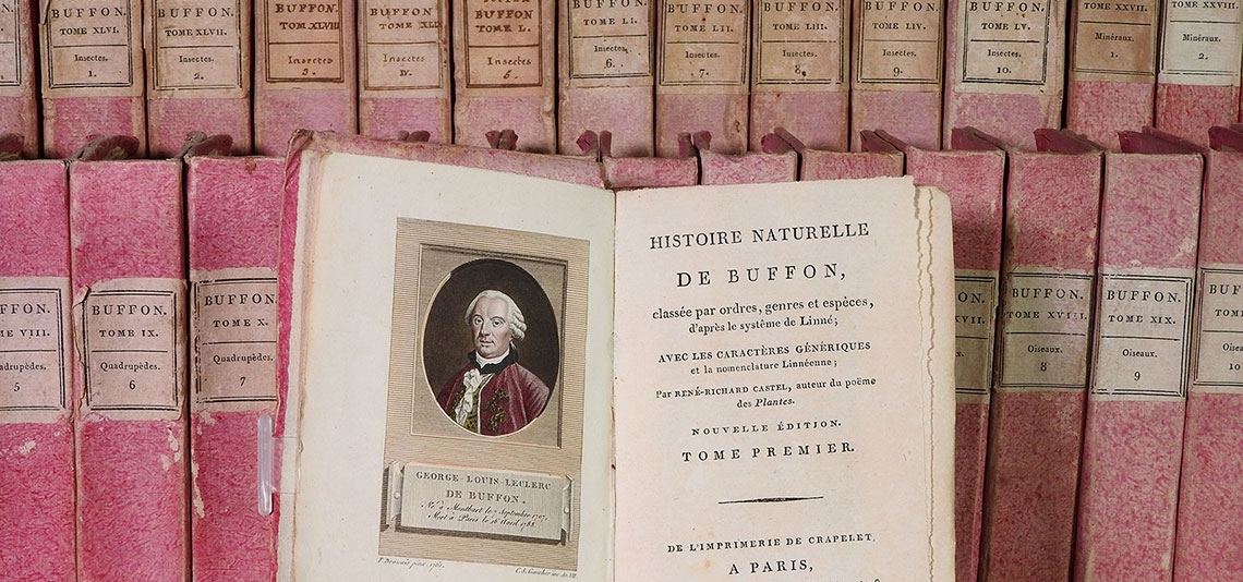 La Biblioteca di Villa Piatti