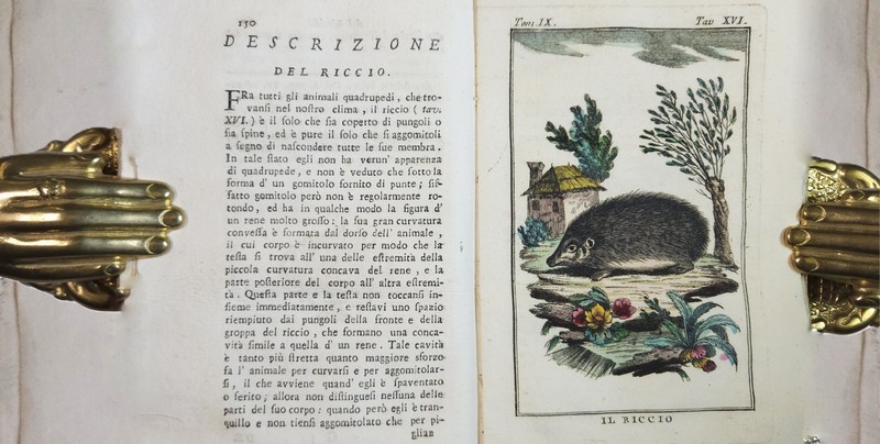 An important Florentine collection, part two: The Library