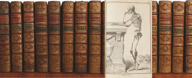 An important Florentine collection, part two: The Library